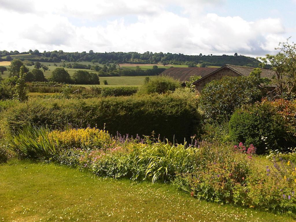 Upper Letton Farmhouse Leintwardine Exteriör bild
