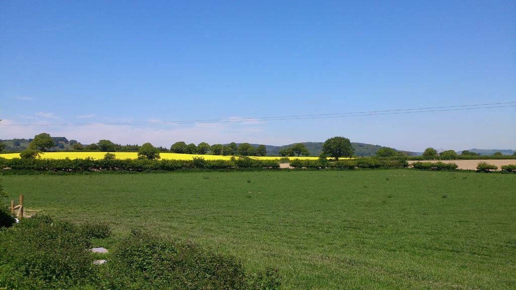 Upper Letton Farmhouse Leintwardine Exteriör bild