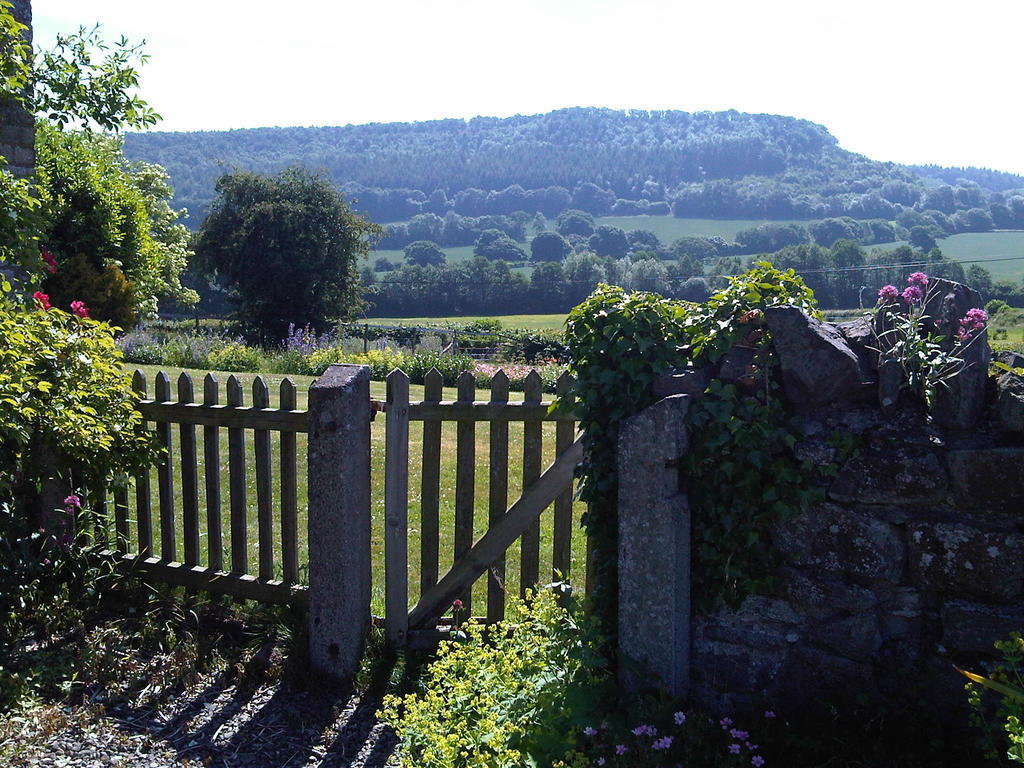 Upper Letton Farmhouse Leintwardine Exteriör bild
