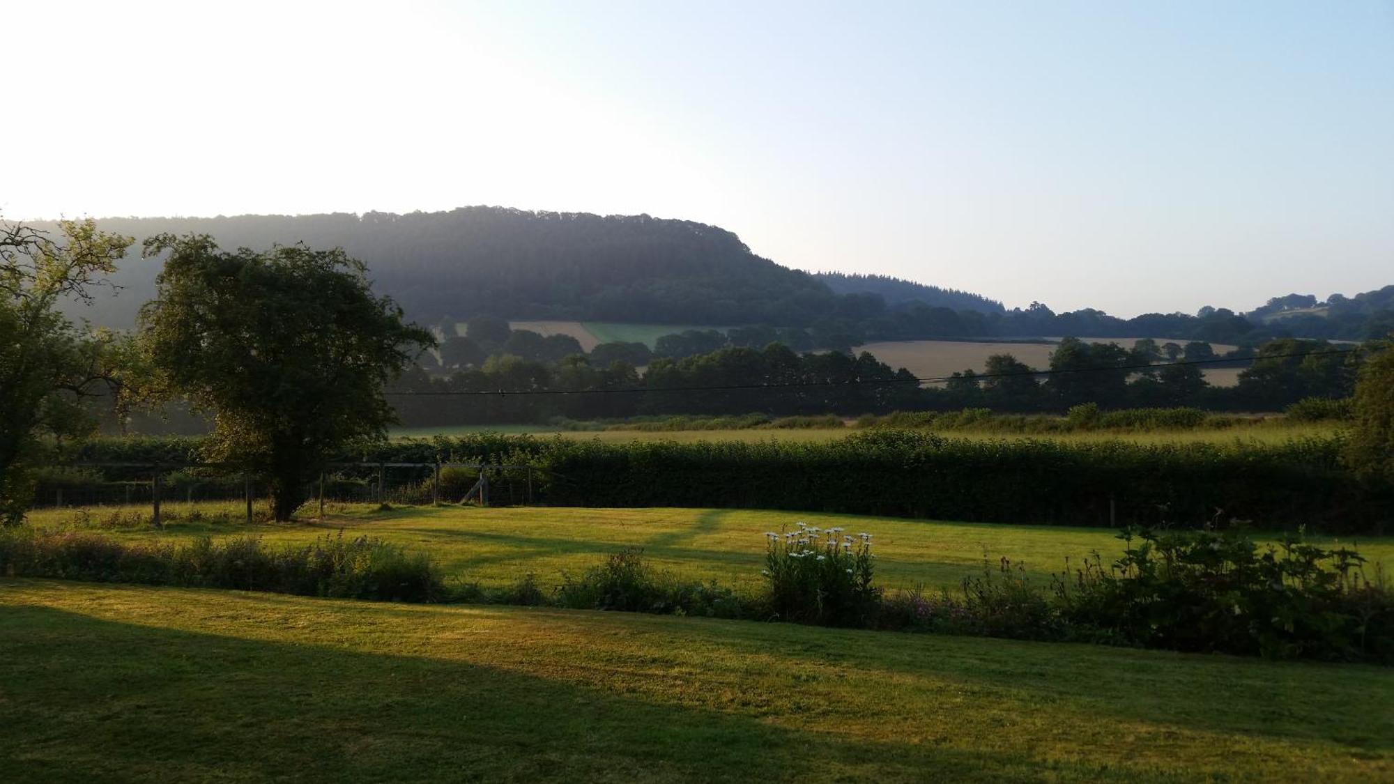 Upper Letton Farmhouse Leintwardine Exteriör bild